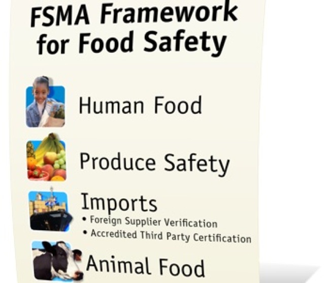 FDA food safety