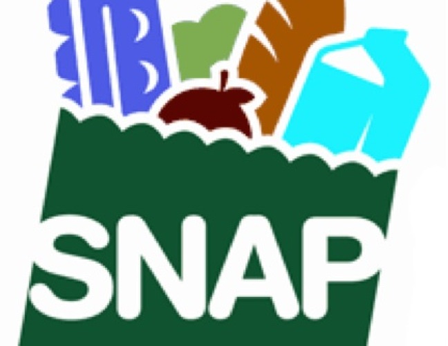 SNAP logo