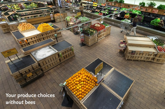 WHOLE FOODS MARKET PRODUCE DEPARTMENT