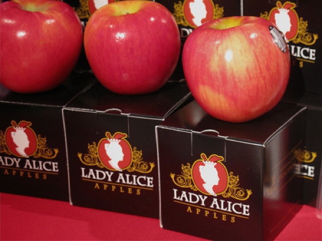 Lady Alice Apples