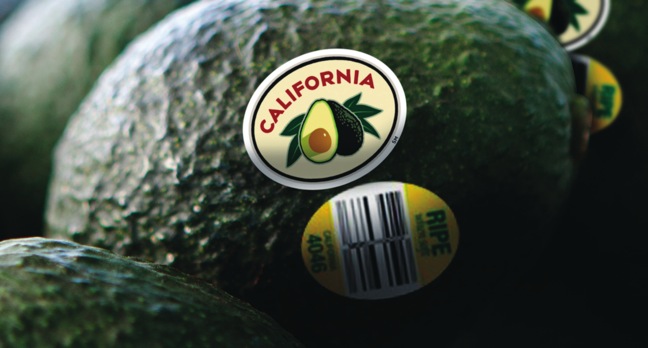 CAC-Avos w CA Label