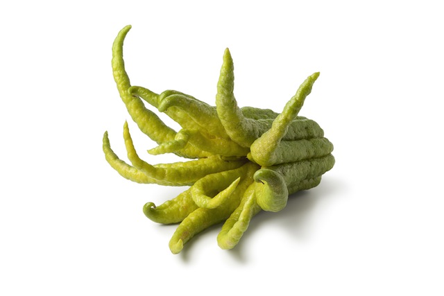 BuddhasHand