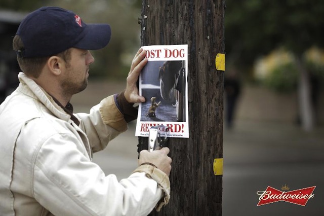 Anheuser-Busch - Super Bowl - Ad Lineup - Budweiser Lost Dog