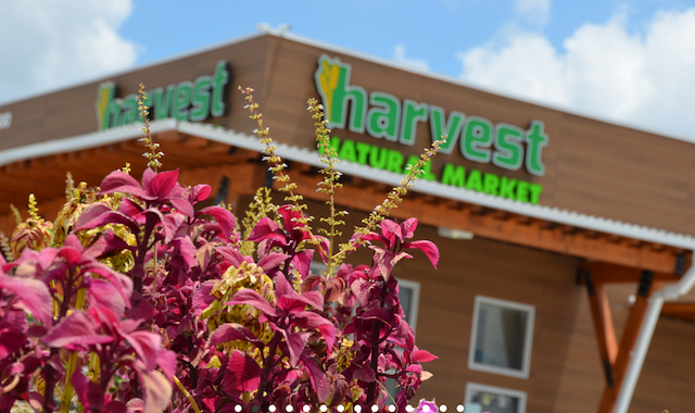 harvest natural market