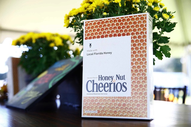 Cheerios-limited-edition-honey-nut-cheerios-5-HR