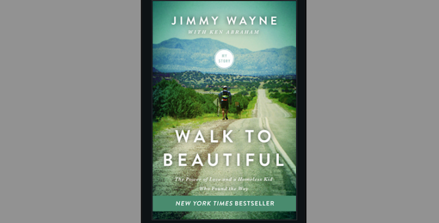 Jimmy Wayne book