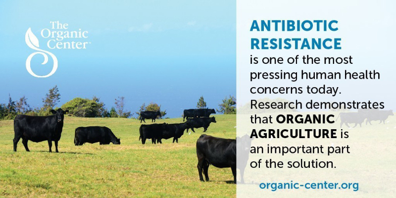 Organic agriculture is part of the solution for lessening exposure to antibiotic-resistant bacteria. (PRNewsFoto/Organic Trade Association)