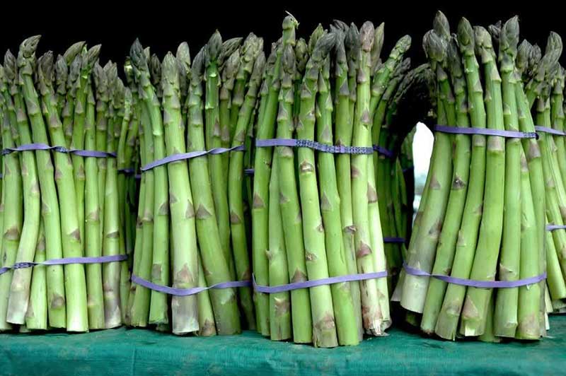 asparagus season