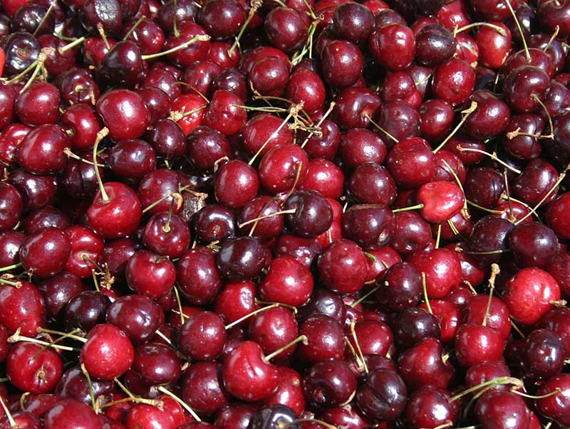 red cherries