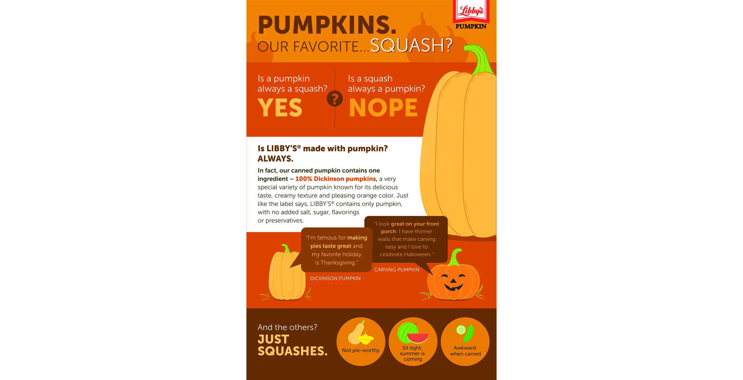 Pure pumpkin infographic