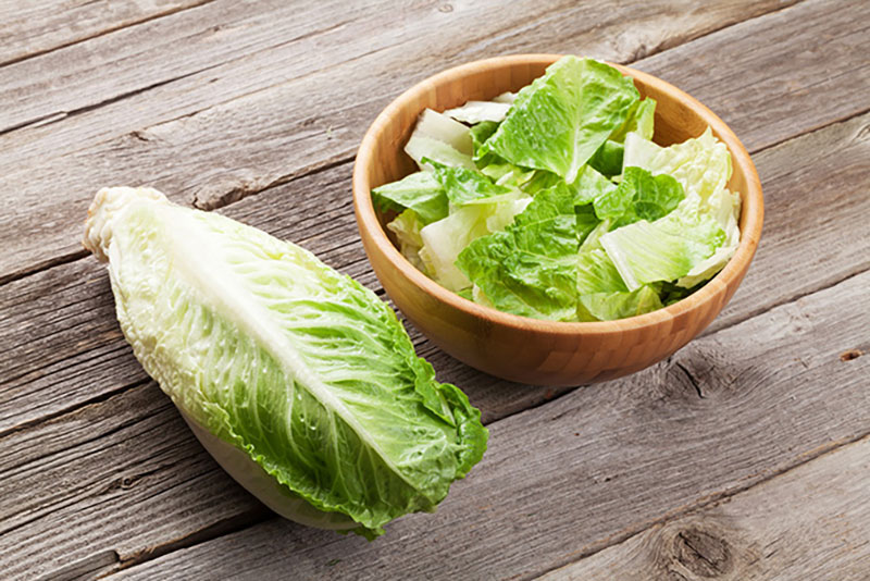 Tainted romaine, Yuma, Arizona, Salinas