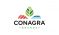 Conagra Brands logo - DSD Snacks