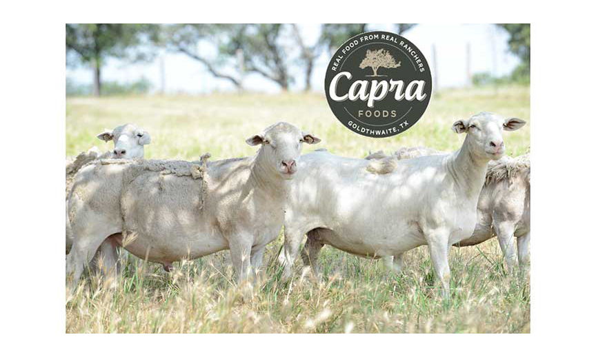 The Capra Foods logo imposed over an image of sheep in a field