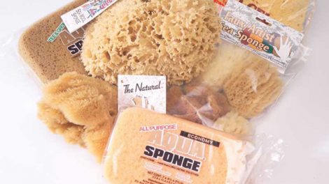 Acme sponges