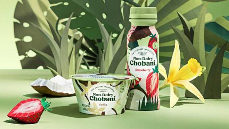 Non-Dairy Chobani products