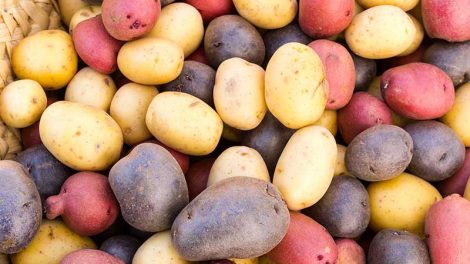 potatoes