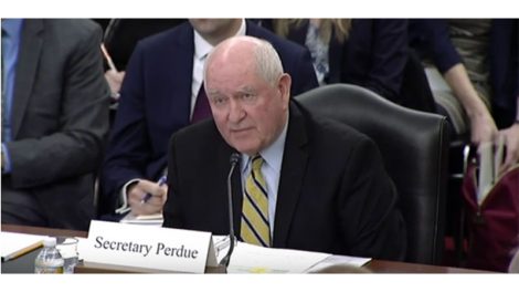 Perdue testifies to Senate