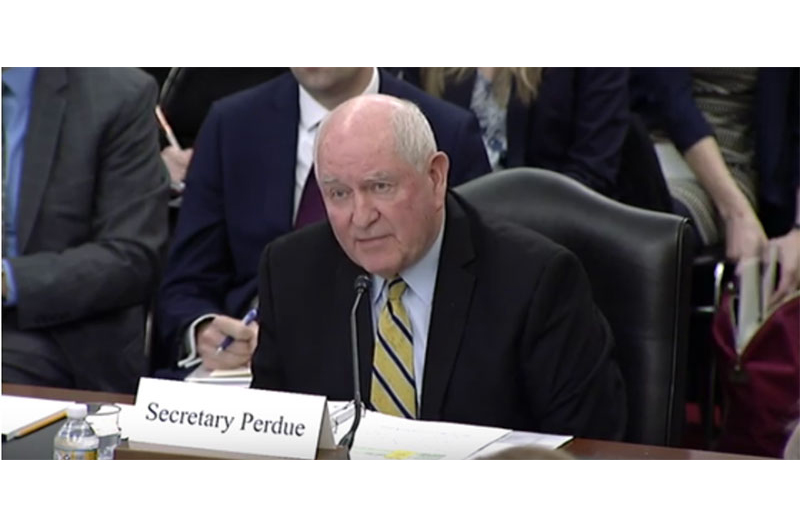 Perdue testifies to Senate