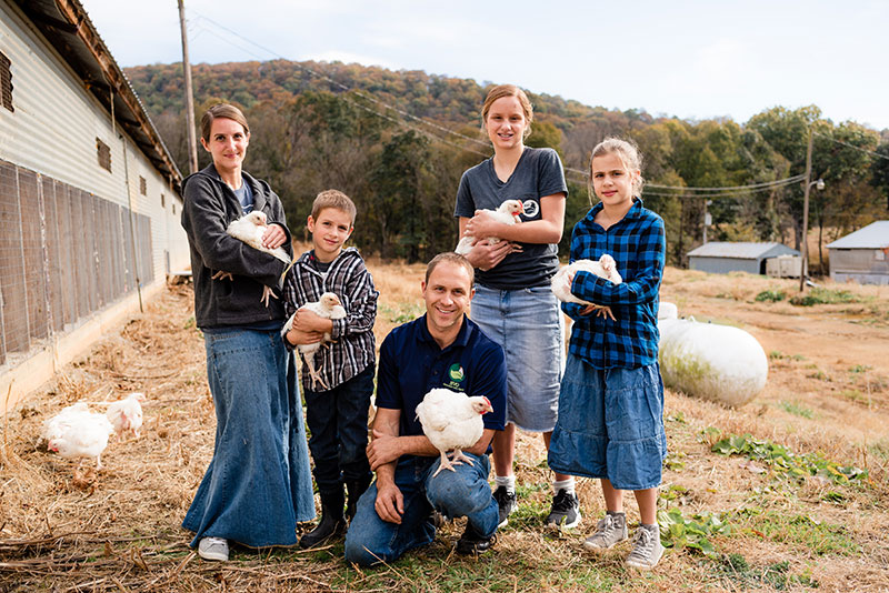 Shenandoah Valley Organic chicken