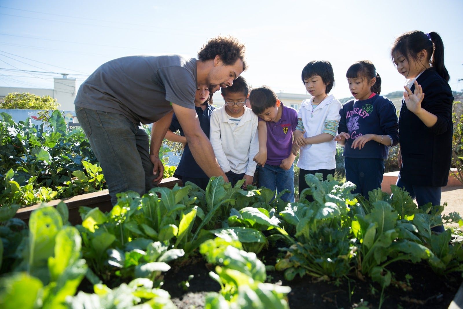 Sprouts Neighborhood Grants