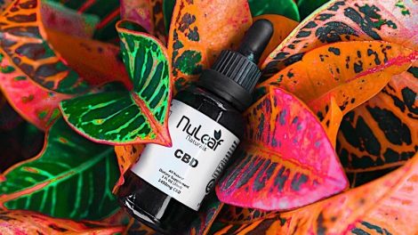 NuLeaf Naturals Full Spectrum CBD Oil