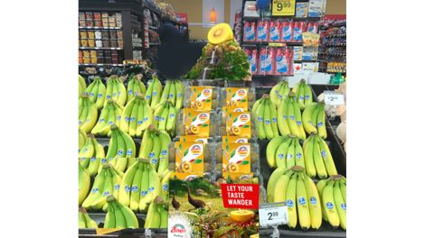 Zespri SunGold Kiwifruit display