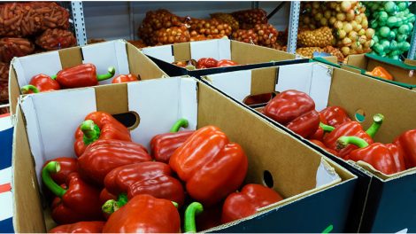 corrugated produce boxes