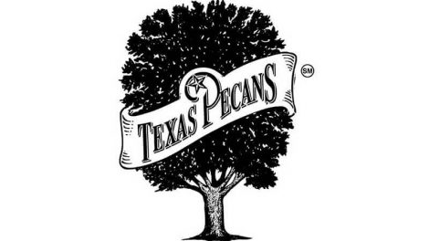 Texas State Tree - Pecan