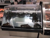 lobster tank