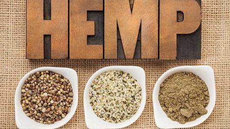 hemp production, regulatory, USDA