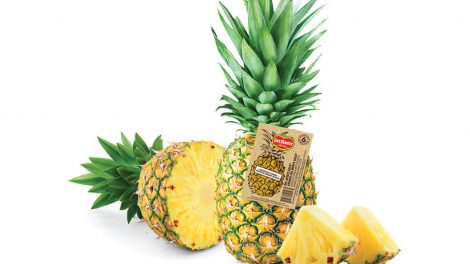 Del Monte Fresh pineapple tags