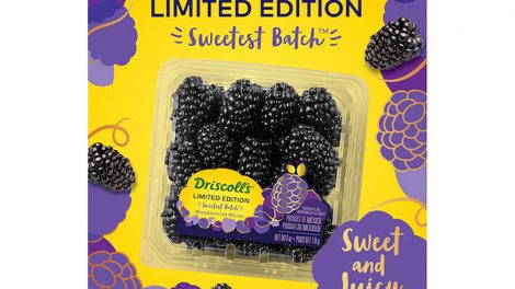 Driscoll's blackberries