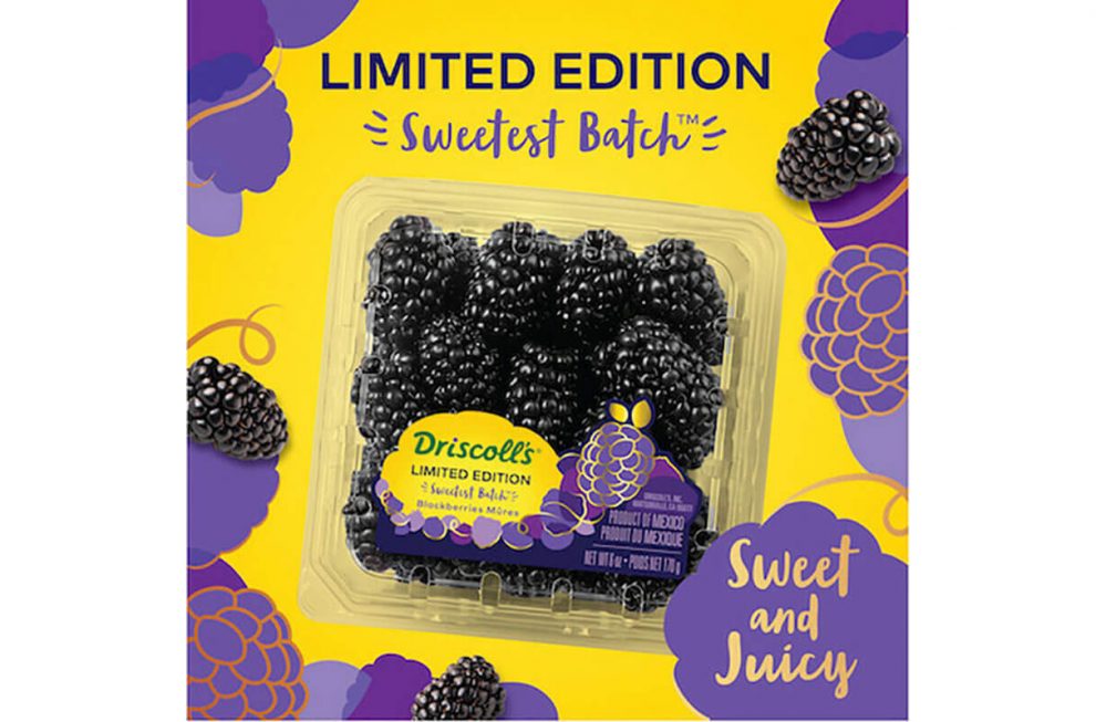 Driscoll's blackberries