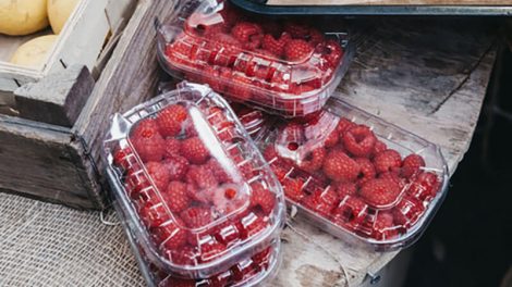 Berry Growers recycling clamshell