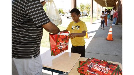 Food Lion Feeds, reusable bags