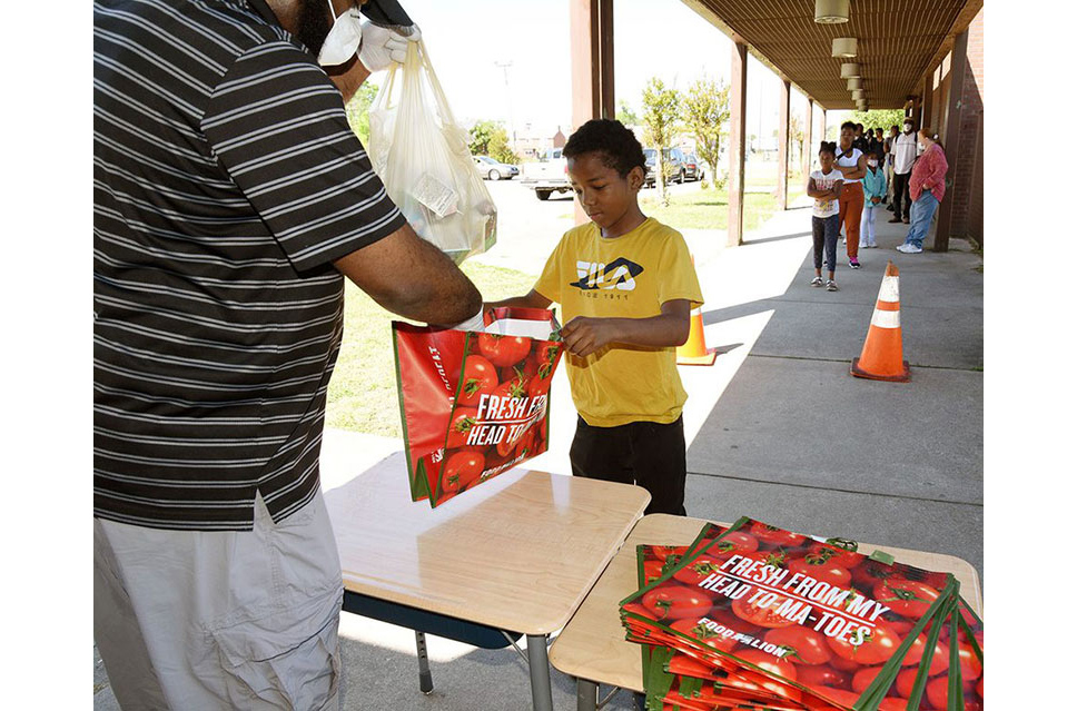 Food Lion Feeds, reusable bags