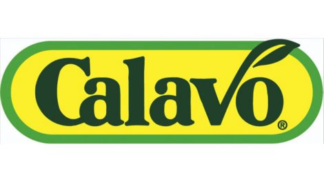 Mendizabal Kocher Calavo Growers Board