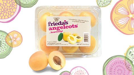 Frieda's Angelcots