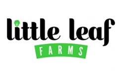 Little Leaf Farms baby lettuce