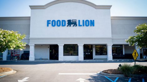 Food Lion harveys supermarket