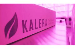 Kalera 