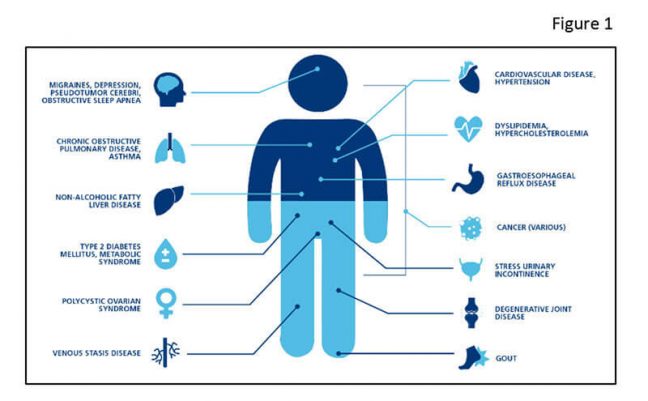 Panacea metabolic syndrome