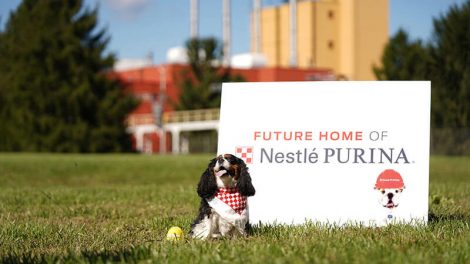 Nestle Purina Eden