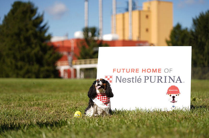 Nestle Purina Eden