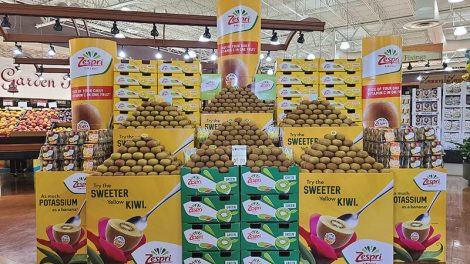 Zespri kiwifruit