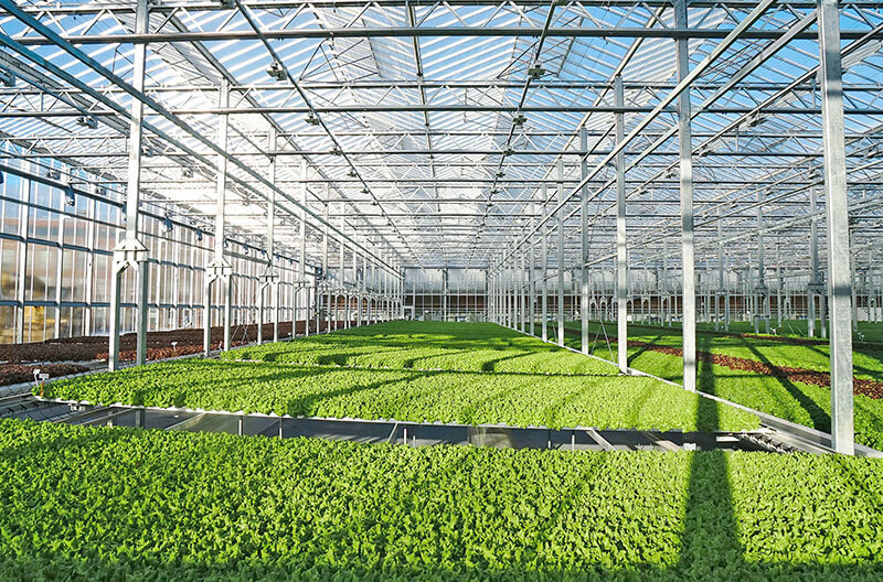 Gotham Greens