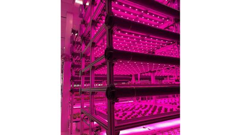 vertical farming