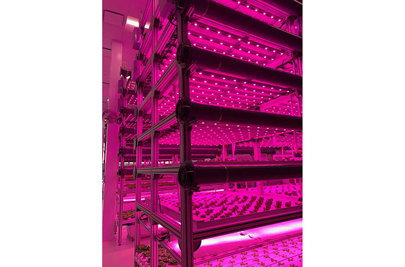 vertical farming