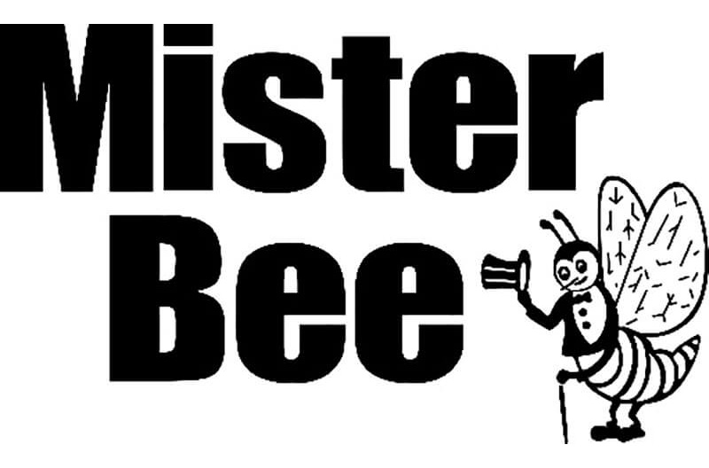 bee