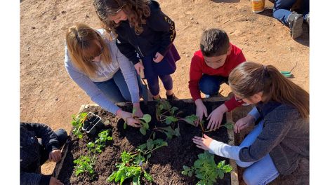 elementary learning garden